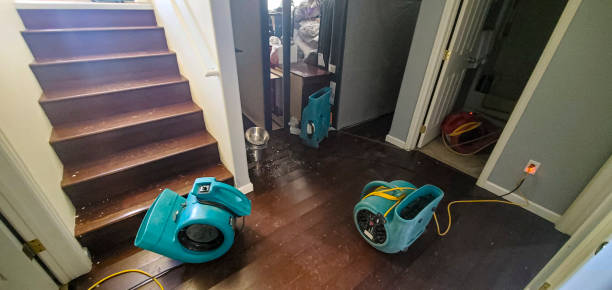 Best Carpet water damage restoration  in Oak Park, IL