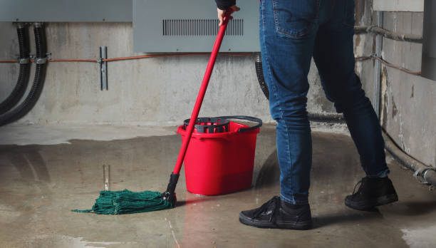 Best Emergency water damage restoration  in Oak Park, IL