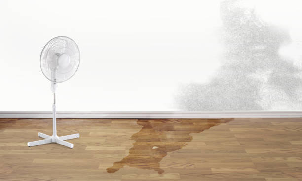 Best Commercial water damage restoration  in Oak Park, IL