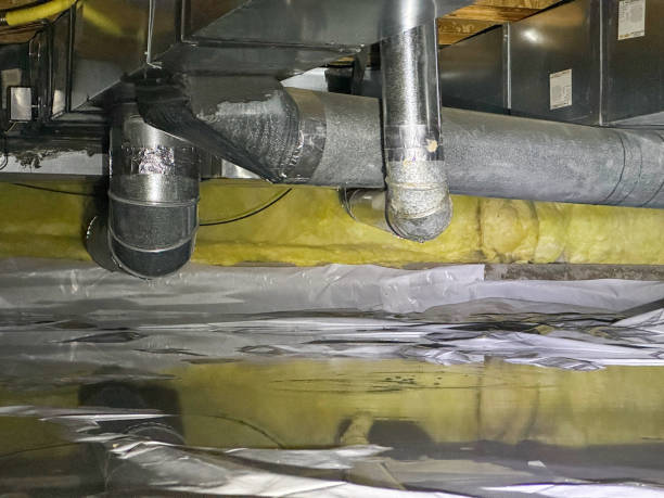 Best Water damage contractors near me  in Oak Park, IL