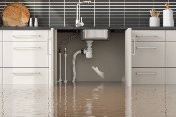 Best Water damage restoration near me  in Oak Park, IL
