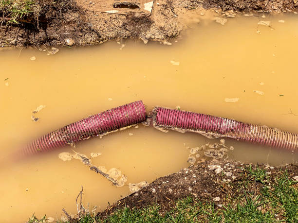 Best Water damage restoration near me  in Oak Park, IL