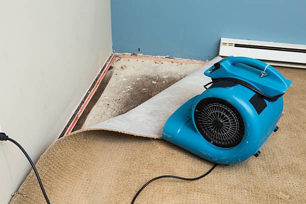 Best Water damage restoration services  in Oak Park, IL